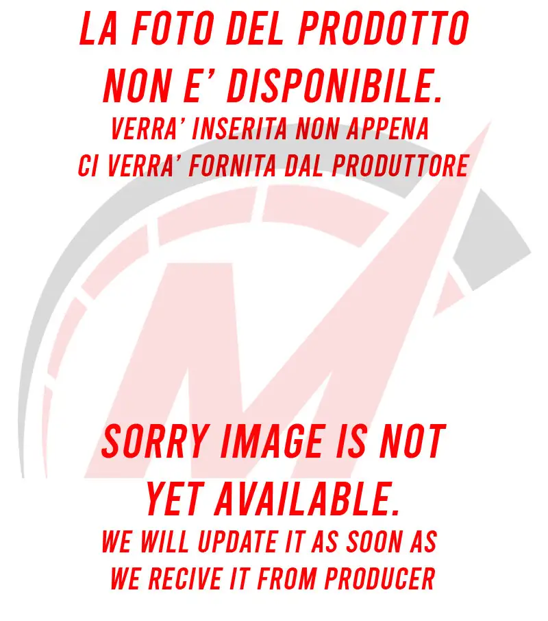 Telaietto anteriore per strumentazione originale con condotto aria Racingbike per BMW S 1000 RR 19-25