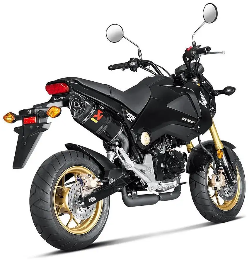 Terminale di scarico Akrapovic omologato in carbonio per Honda MSX 125 GROM 13-16