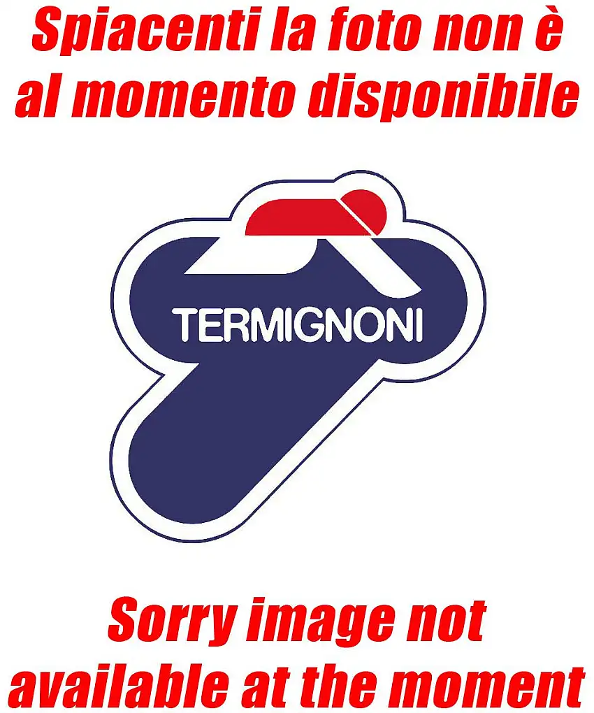 Terminali di scarico Termignoni non omologati in carbonio per Ducati SS 1000 03-06 (coppia)